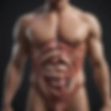 Factors Influencing Gut Balance Visual representation of factors affecting gut balance