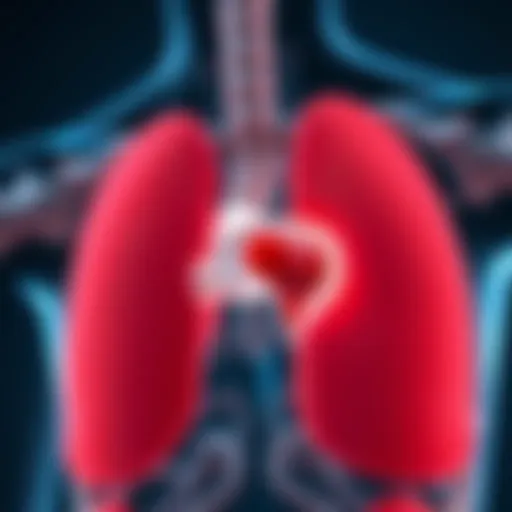 Anatomical diagram of the hiatus hernia
