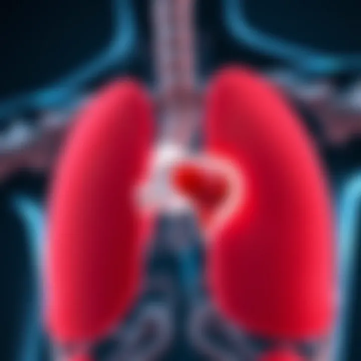 Understanding the Structure of Hiatus Hernia Anatomical diagram of the hiatus hernia