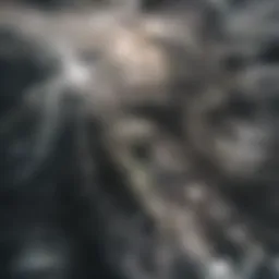 Detailed view of high throughput homogenizer demonstrating its components