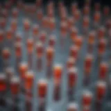 An overview of high throughput screening techniques in drug discovery