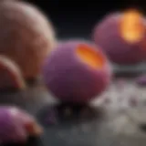 Historical depiction of early research on pancreatic cancer