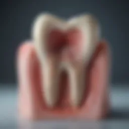 A close-up of a tooth affected by an abscess, showcasing the swelling and infection.
