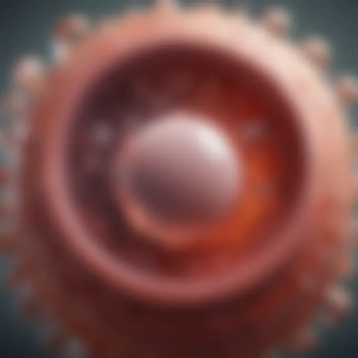 Diagram illustrating hormonal interactions in ovulation