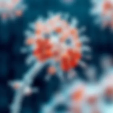 Therapeutic strategies targeting IDH1