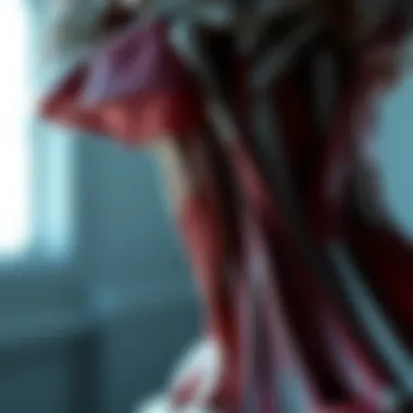 Neck Muscles Arrangement Anatomical illustration of neck muscles, highlighting their arrangement and function.