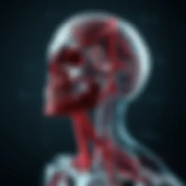 Vascular Anatomy of Head and Neck Illustration of vascular components in the head and neck, detailing blood supply and drainage.