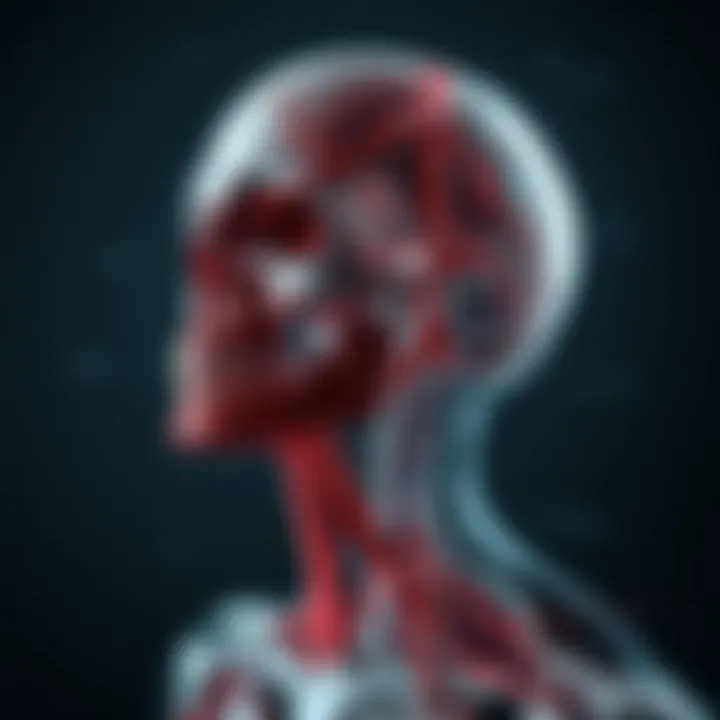 Vascular Anatomy of Head and Neck Illustration of vascular components in the head and neck, detailing blood supply and drainage.