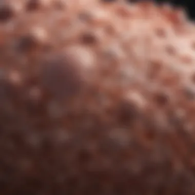 Images of Squamous Cell Carcinoma: An In-Depth Analysis Summary Images of Squamous Cell Carcinoma: An In-Depth Analysis Summary