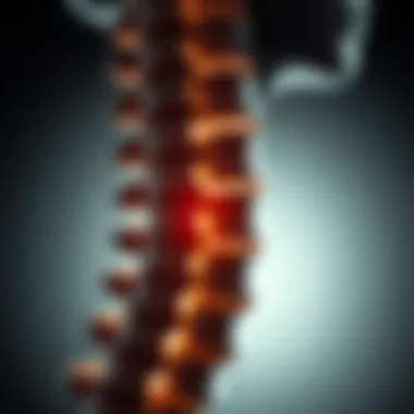 Impact of L4 and L5 Dysfunction Impact of L4 and L5 dysfunction on spine health