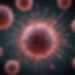 Overview of T cell activation mechanisms