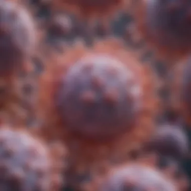 Microscopic View of IDC Cells Microscopic view of infiltrating ductal carcinoma cells.