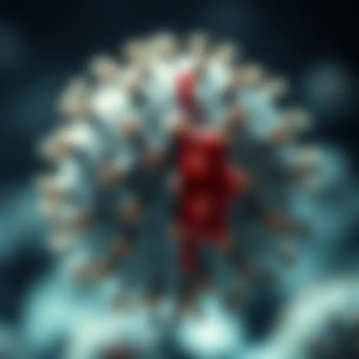 Visual representation of innate and adaptive immunity