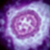 Histopathological examination of invasive ductal carcinoma with medullary features