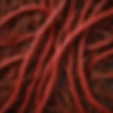 The Rich Texture of Korean Red Ginseng Roots A close-up of Korean red ginseng roots showcasing their texture and color