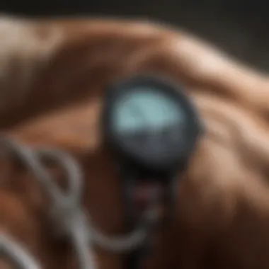 Tools for Diagnosing Cattle Acidosis Diagnostic tools for identifying acidosis in livestock