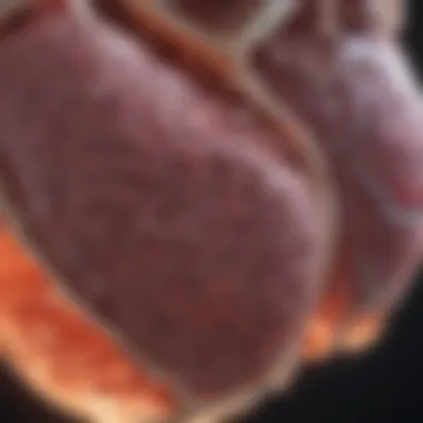 Advanced Imaging Techniques for Liver Metastases Imaging scan revealing liver metastasis