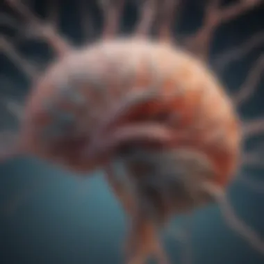 Neural Pathways and Memory Illustration of neural pathways in the brain