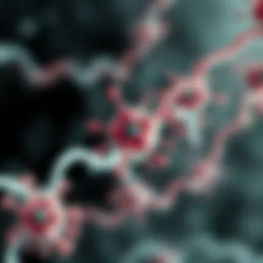 Case study showcasing the role of molecular cytogenetics in cancer research