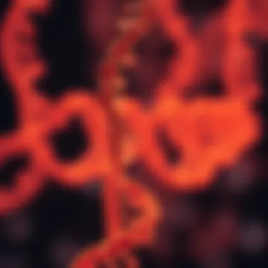 Illustration of chromosome structure highlighting molecular components