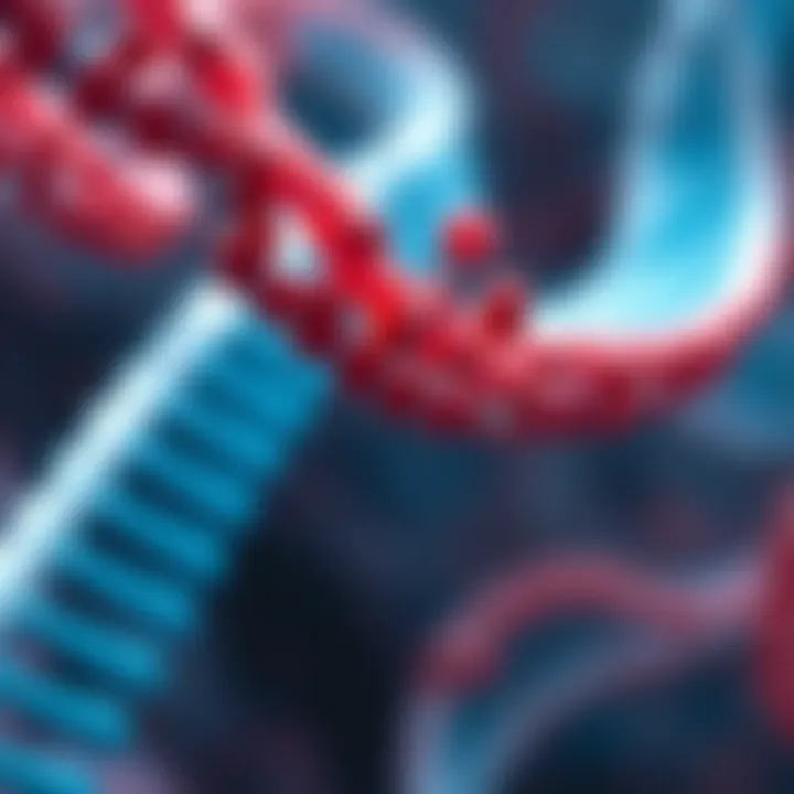 Graphical representation of the interplay between genetics and cellular architecture