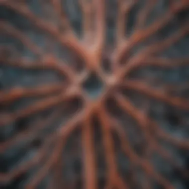 Intricate Patterns in Lung MRI Detailed MRI scan of lung structures showcasing intricate patterns