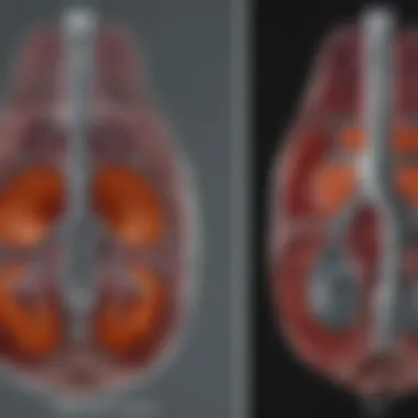 Comparison chart between MRI and conventional lung imaging methods