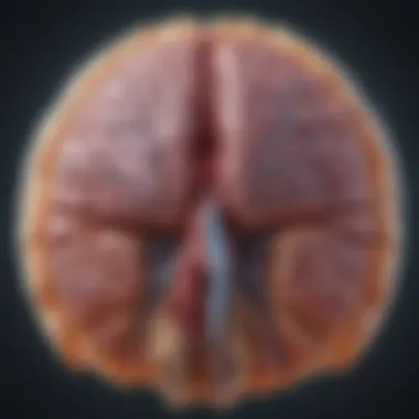 Chart illustrating the impact of stenosis on neurological function