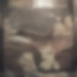 Diagram illustrating the prevalence of orolabial herpes