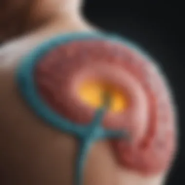 Ovarian Cancer and CA125 Levels: Understanding the Normal Range Summary Ovarian Cancer and CA125 Levels: Understanding the Normal Range Summary