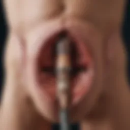 Anatomical illustration of penile anatomy