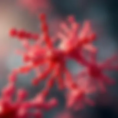 Phospho-Atr Antibody: A Comprehensive Review Summary