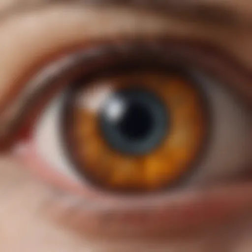 Representation of retinal degeneration in pigmentosa eye disease