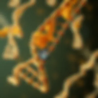 Molecular Structure of DNA and Point Mutations Illustration depicting the molecular structure of DNA highlighting point mutations.