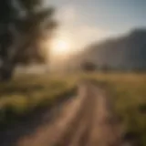 A serene landscape representing peace and recovery