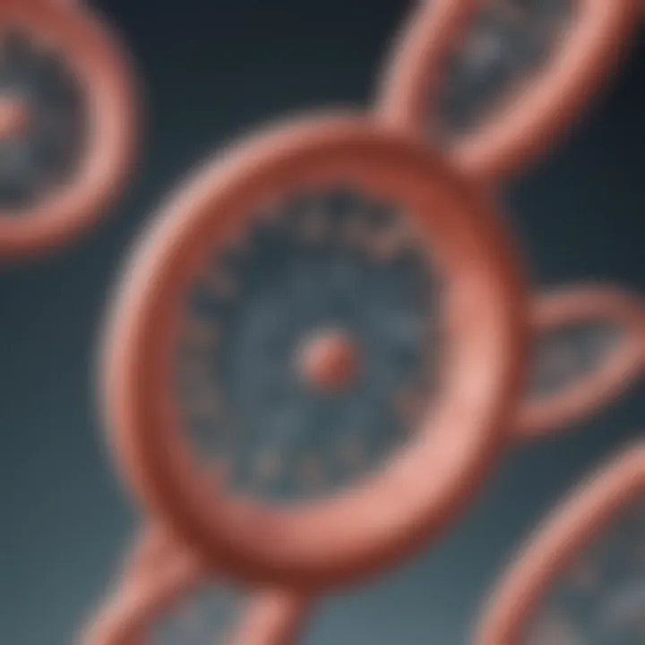 Illustration showing the protein synthesis process