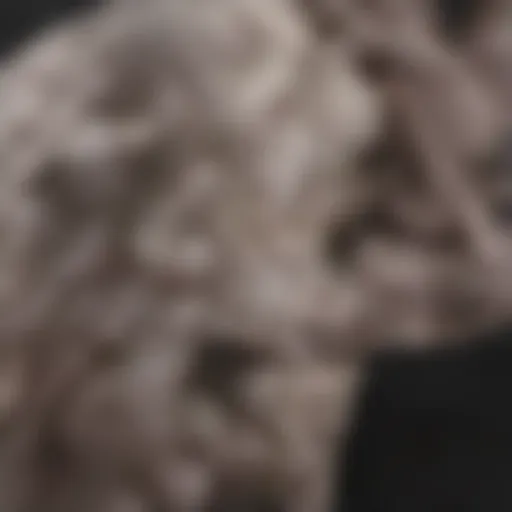Close-up of earlobes affected by psoriasis showing scaly lesions