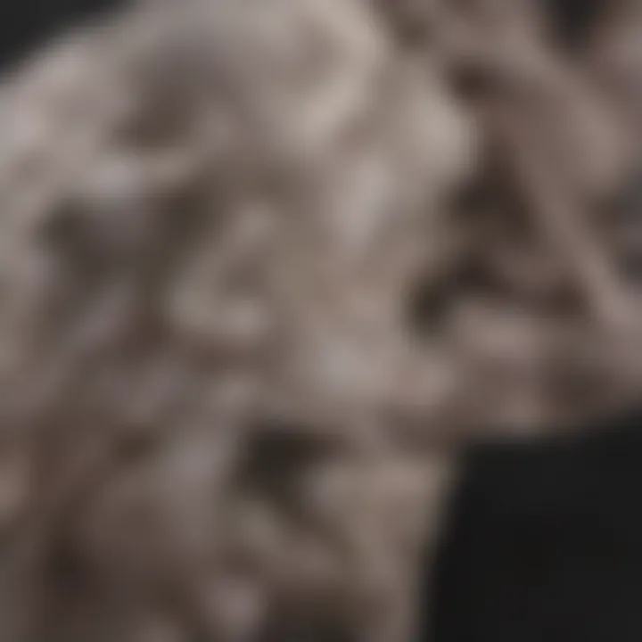 Close-up of earlobes affected by psoriasis showing scaly lesions