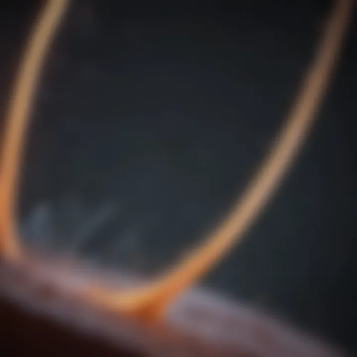 Graphical representation of qPCR amplification curves