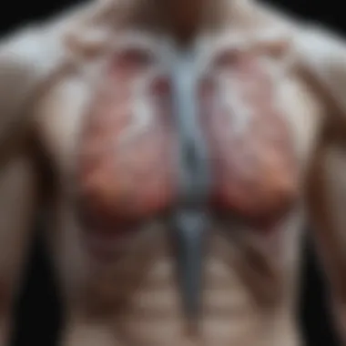 Anatomical Structures in Chest X-Rays Anatomical structures relevant to chest X-ray interpretation