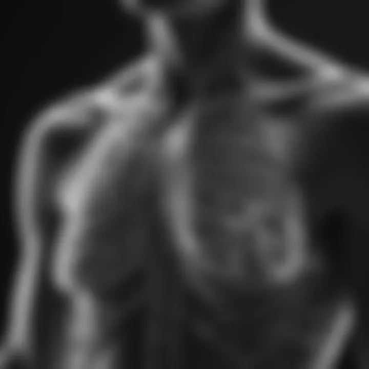 Systematic approach to chest X-ray analysis