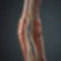 Illustration depicting the intricate structure of peripheral nerves