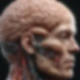 A brain illustration highlighting areas involved in emotion recognition.