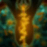 Visualization of a balanced vaginal microbiome highlighting healthy bacteria.