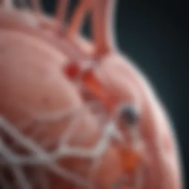 A visual representation of renal replacement therapy methods.