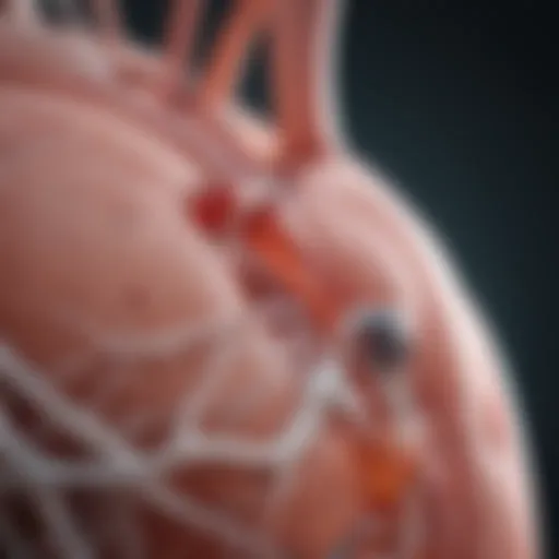 A visual representation of renal replacement therapy methods.