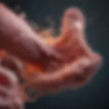 Lung tissue regeneration illustration
