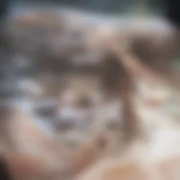 Illustration of different types of swabs used during pregnancy tests