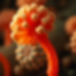 Systemic Candida Infection: Understanding the Depths of Fungal Pathogenesis Introduction