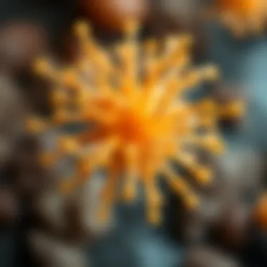 Notable Systemic Candida Infection: Understanding the Depths of Fungal Pathogenesis Notable Systemic Candida Infection: Understanding the Depths of Fungal Pathogenesis